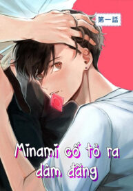 minami-co-tro-nen-dam-dang.jpg