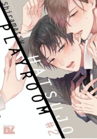 shiramatsu-hatsujou-playroom.jpg
