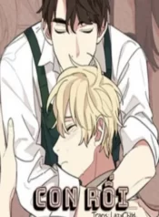 con-roi