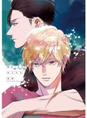 hoi-ket-manh-tinh-vuong-1