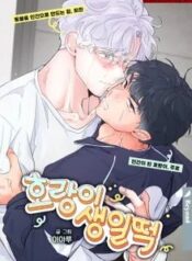 banh-gao-sinh-nhat-c