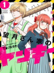 mochizuki-sanchi-no-yankee