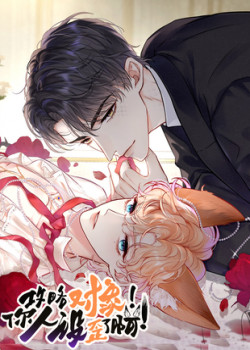 cong-luoc-doi-tuong-hinh-tuong-cua-cau-sap-roi-1-1