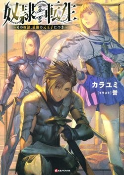 dorei-tensei-sono-dorei-saikyou-no-moto-ouji-ni-tsuki