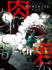 kimi-ga-niku-ni-nattemo.jpg