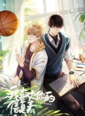 toi-thich-pheromone-cua-cau