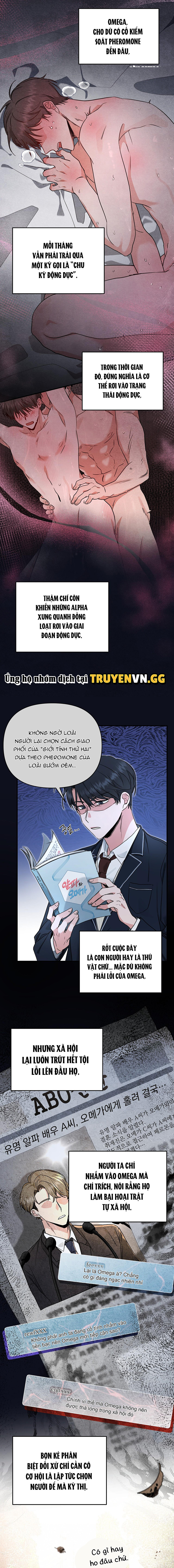 Uống Xong Công Trần Đan, Tôi Bắt Đầu Thời Đại Alpha Rực Rỡ Của Bản Thân Chapter 1 - Trang 2