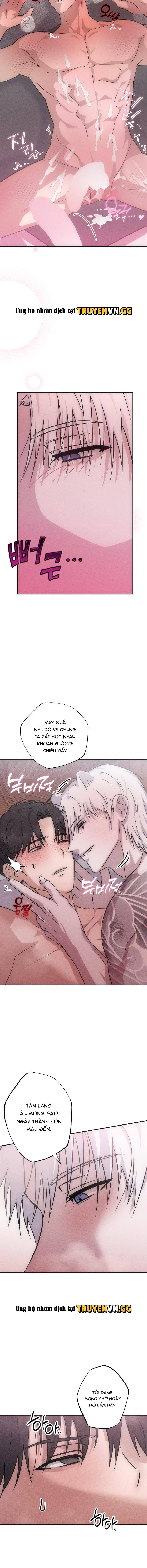 Hôn Lễ Của Sơn Quân Chapter 3 - Trang 2