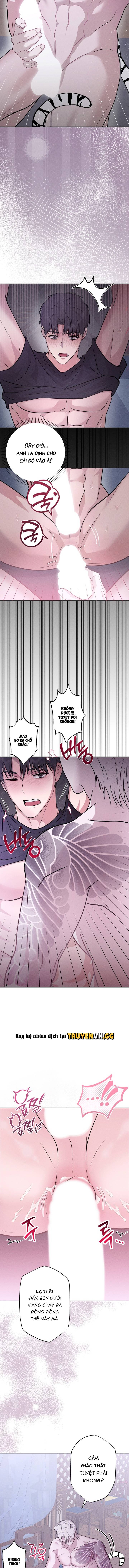 Hôn Lễ Của Sơn Quân Chapter 3 - Trang 2