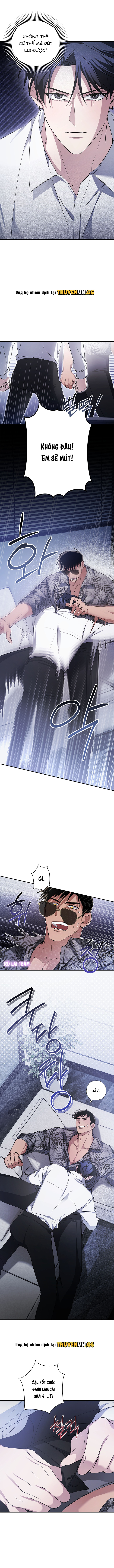 Tuyệt Đối Phục Thù Chapter 1 - Trang 2