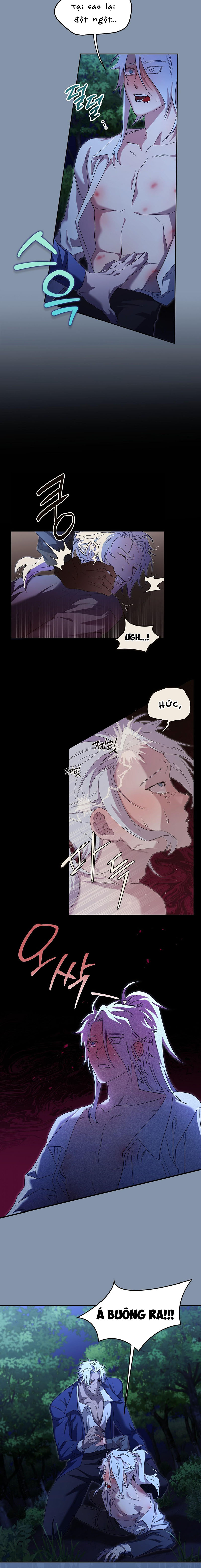 Thuần Dưỡng Hoàn Hảo Chapter 2 10