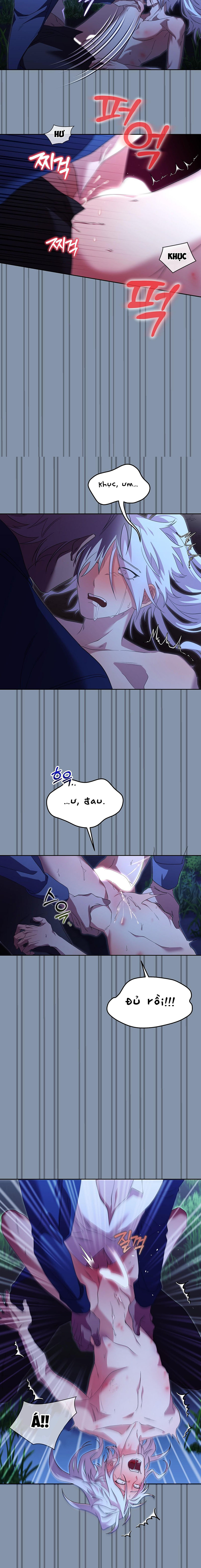 Thuần Dưỡng Hoàn Hảo Chapter 2 13