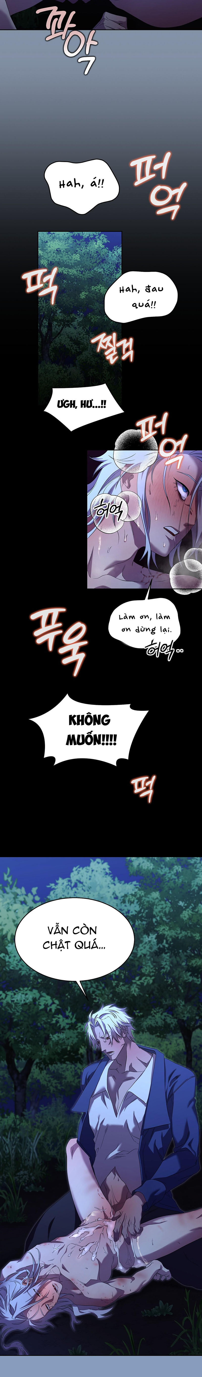 Thuần Dưỡng Hoàn Hảo Chapter 2 19