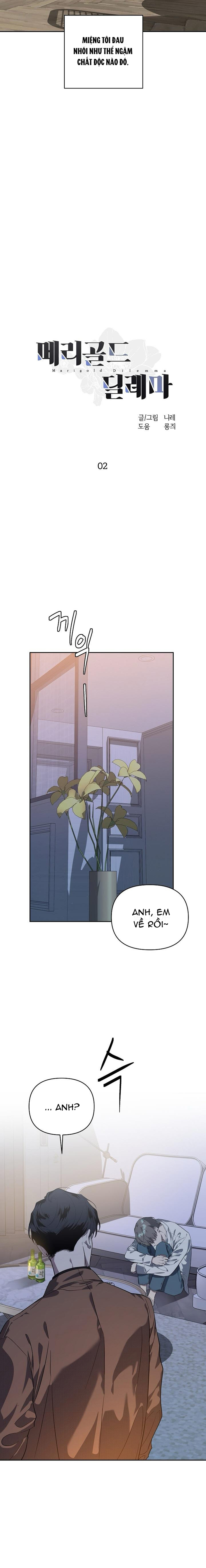 Marigold Dilemma Chapter 2 - Next Chapter 3
