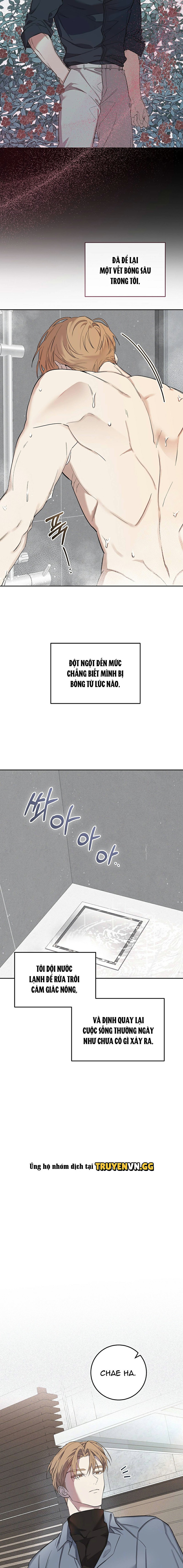 Mặt Nạ Thú Khuyển Chapter 2 - Trang 2