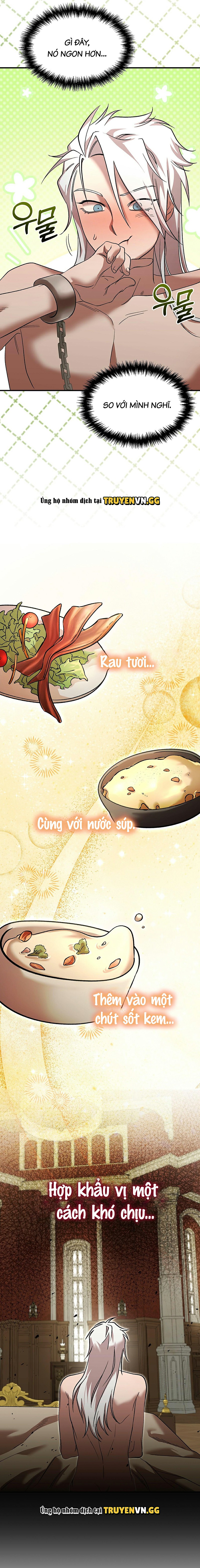 Thuần Dưỡng Hoàn Hảo Chapter 5 - Trang 2