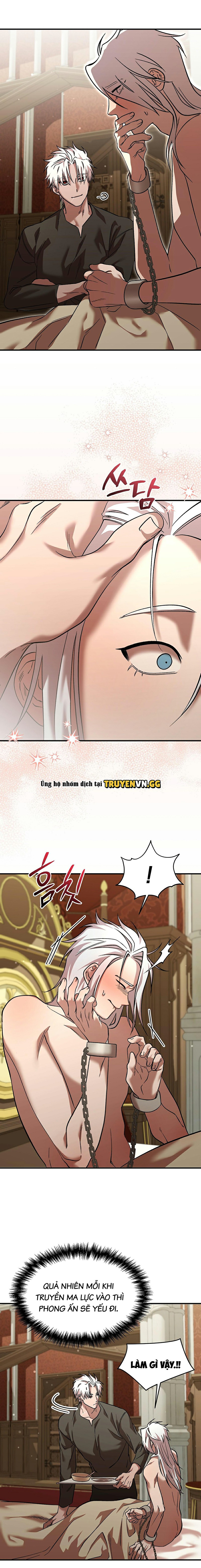 Thuần Dưỡng Hoàn Hảo Chapter 5 - Trang 2