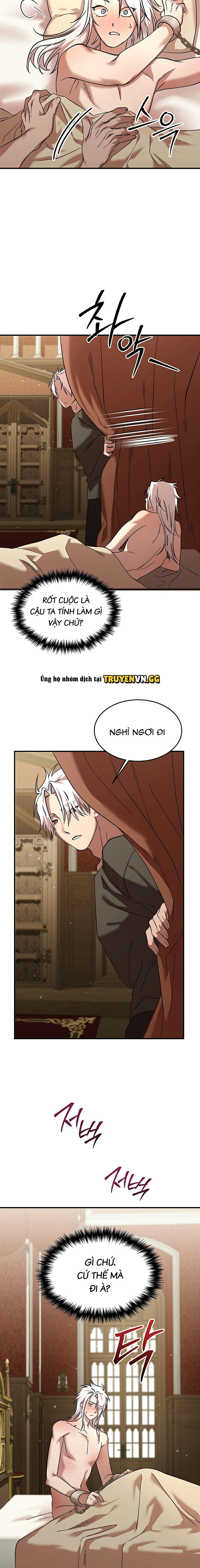 Thuần Dưỡng Hoàn Hảo Chapter 5 - Trang 2