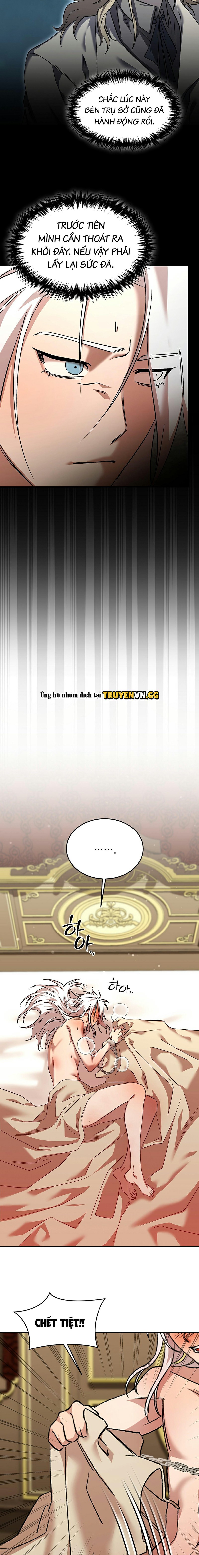 Thuần Dưỡng Hoàn Hảo Chapter 5 - Trang 2