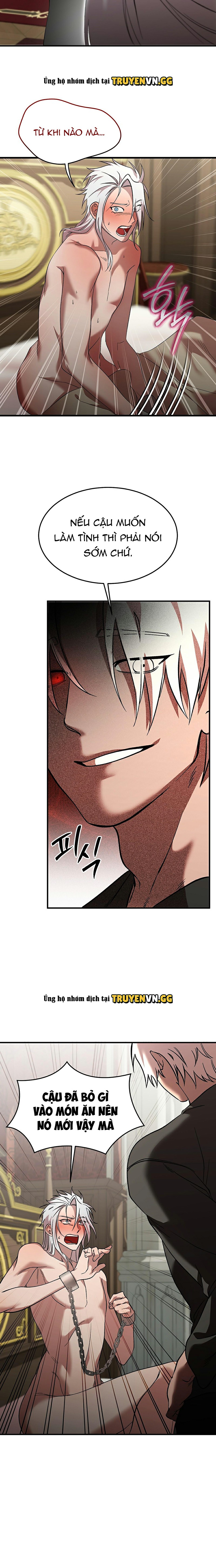 Thuần Dưỡng Hoàn Hảo Chapter 5 - Trang 2