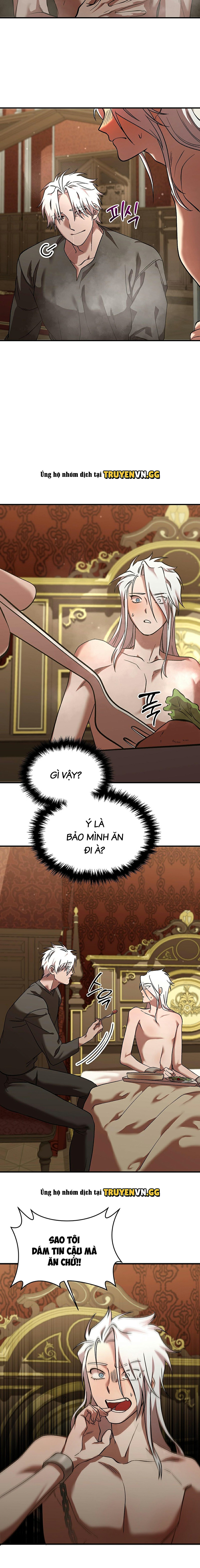Thuần Dưỡng Hoàn Hảo Chapter 5 - Trang 2