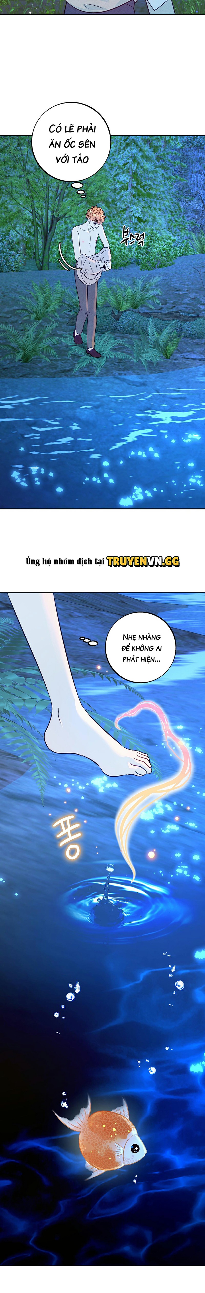 Dinh Hổ Kình Chapter 1 19