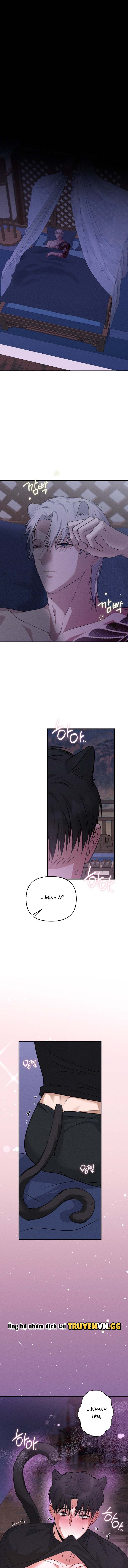 Hôn Lễ Của Sơn Quân Chapter 5 - Trang 2