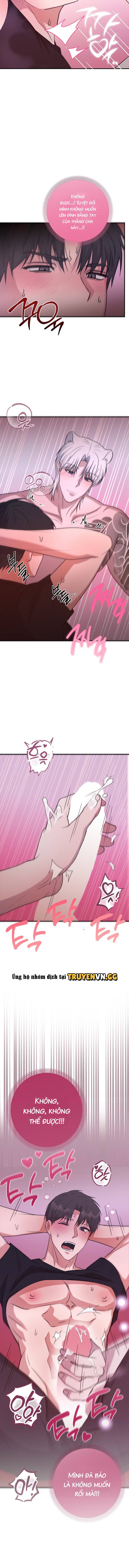 Hôn Lễ Của Sơn Quân Chapter 2 - Trang 2