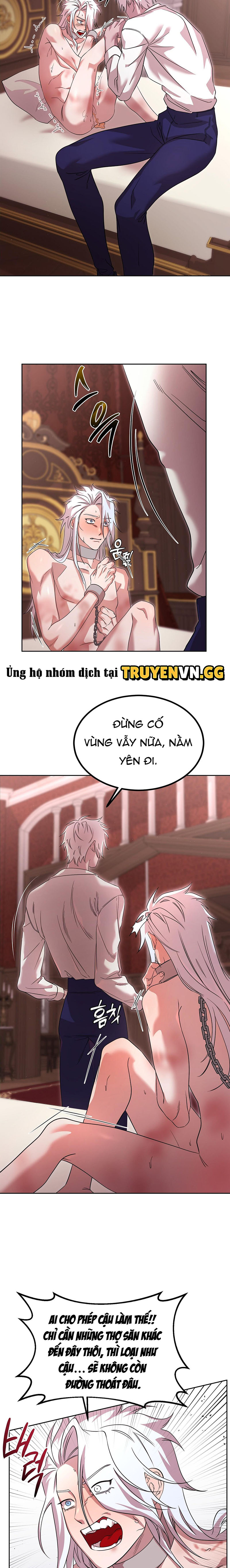 Thuần Dưỡng Hoàn Hảo Chapter 3 - Trang 2