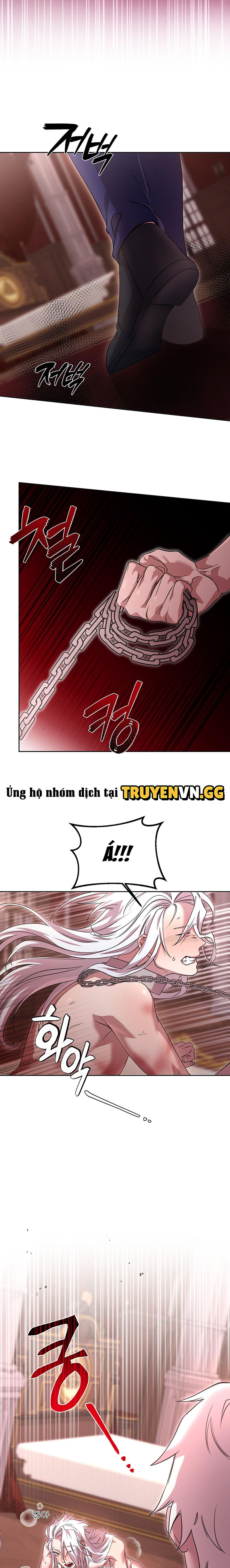 Thuần Dưỡng Hoàn Hảo Chapter 3 - Trang 2