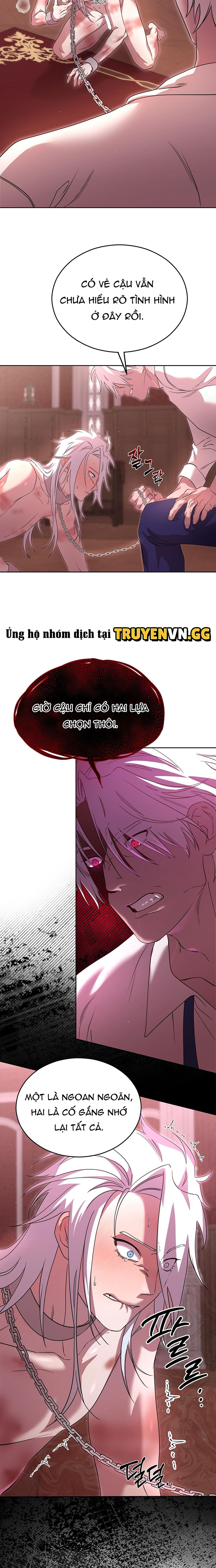 Thuần Dưỡng Hoàn Hảo Chapter 3 - Trang 2