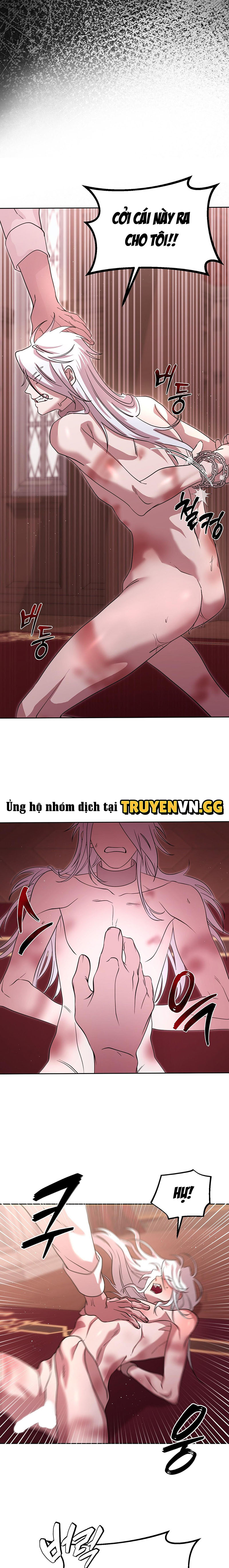 Thuần Dưỡng Hoàn Hảo Chapter 3 - Trang 2