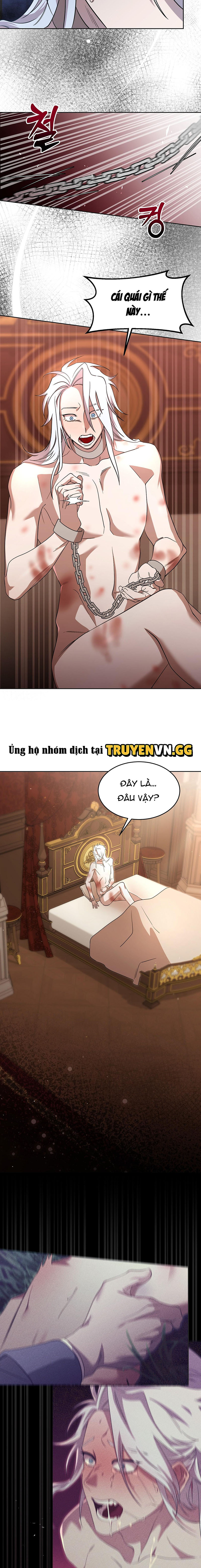Thuần Dưỡng Hoàn Hảo Chapter 3 - Trang 2