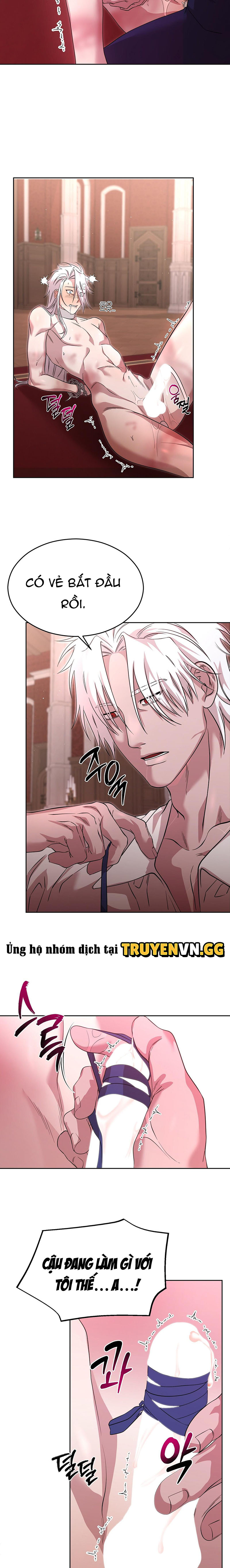 Thuần Dưỡng Hoàn Hảo Chapter 3 - Trang 2