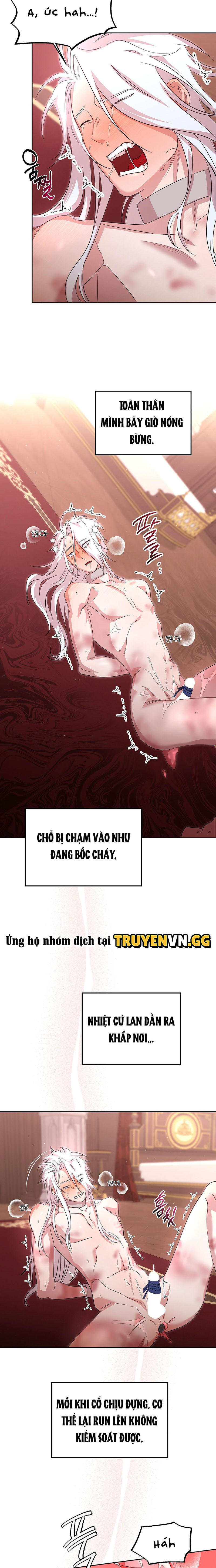 Thuần Dưỡng Hoàn Hảo Chapter 3 - Trang 2
