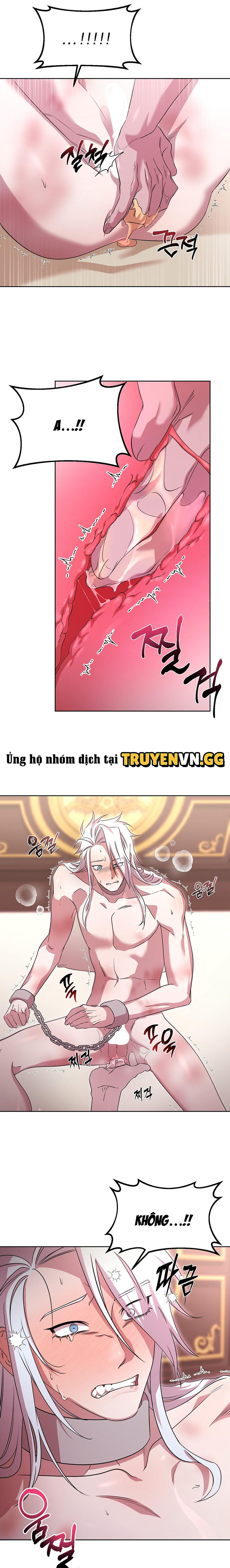 Thuần Dưỡng Hoàn Hảo Chapter 3 - Trang 2