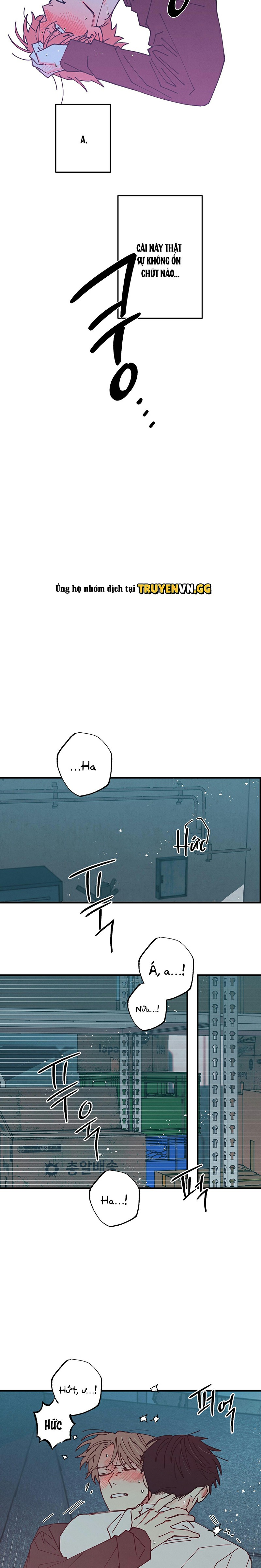 Trái Tim Trên Sân Cầu Chapter 1 - Trang 2