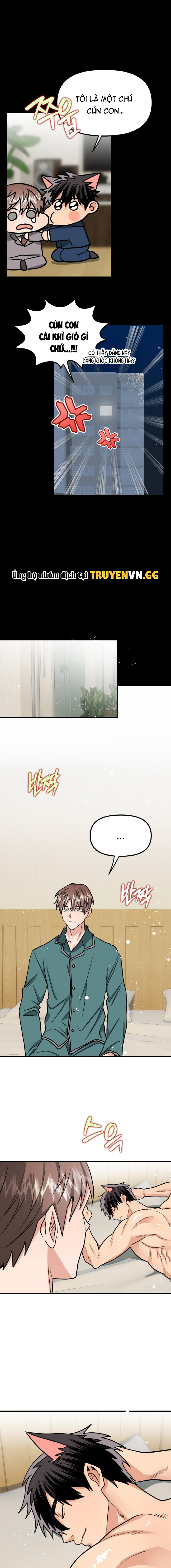 Bé Chồng Cún Con Của Tôi Chapter 2 1