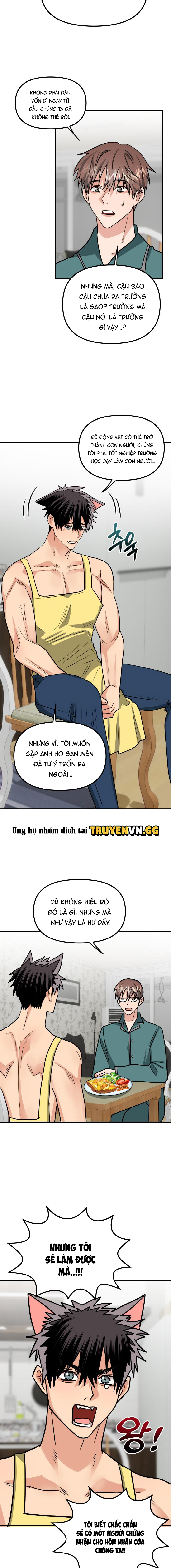 Bé Chồng Cún Con Của Tôi Chapter 2 4