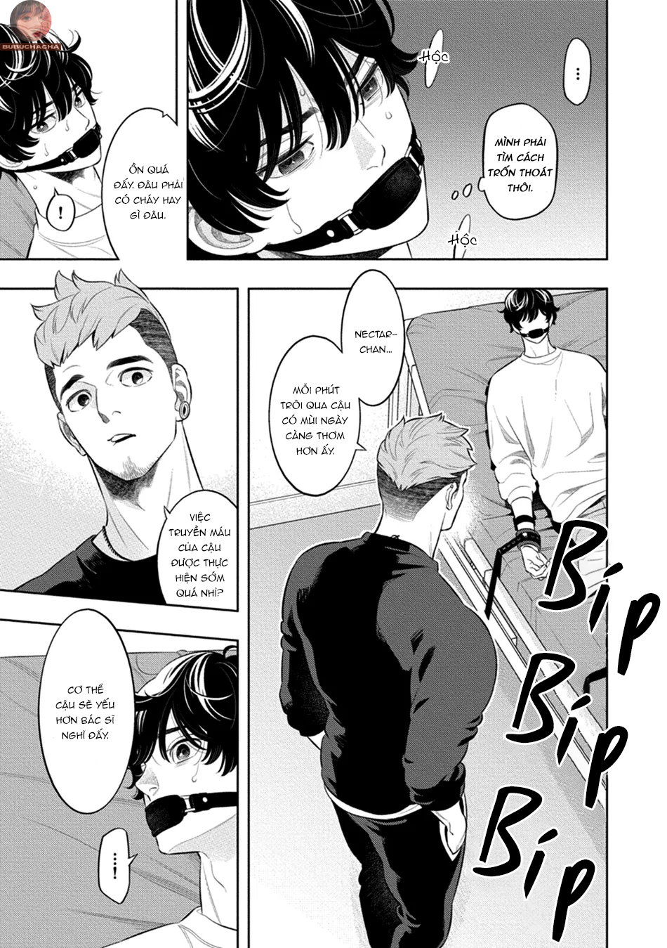 Mật Hoa Hương Khói Chapter 5 - Trang 2