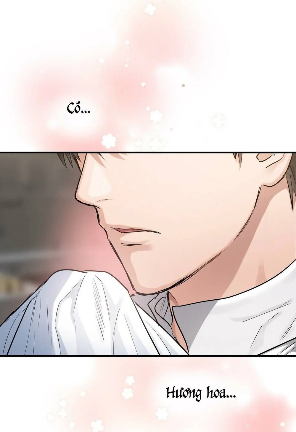 Người Thừa Kế Chapter 34 - Trang 3