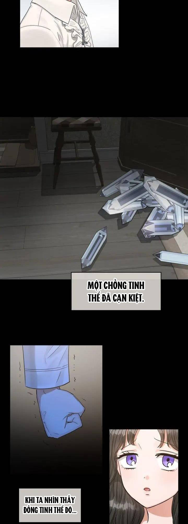 Người Thừa Kế Chapter 20 - Trang 3