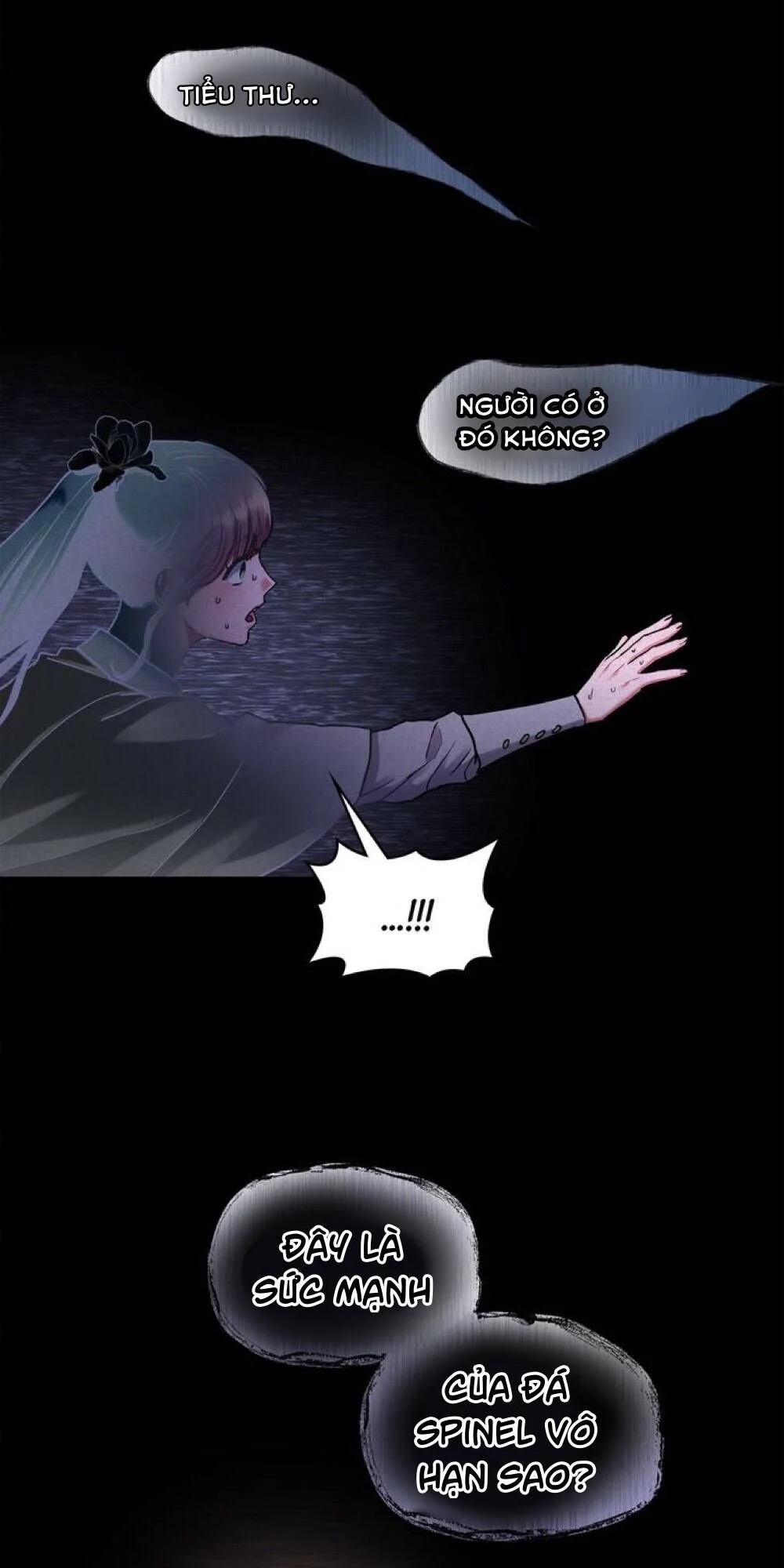 Người Thừa Kế Chapter 41 - Trang 3