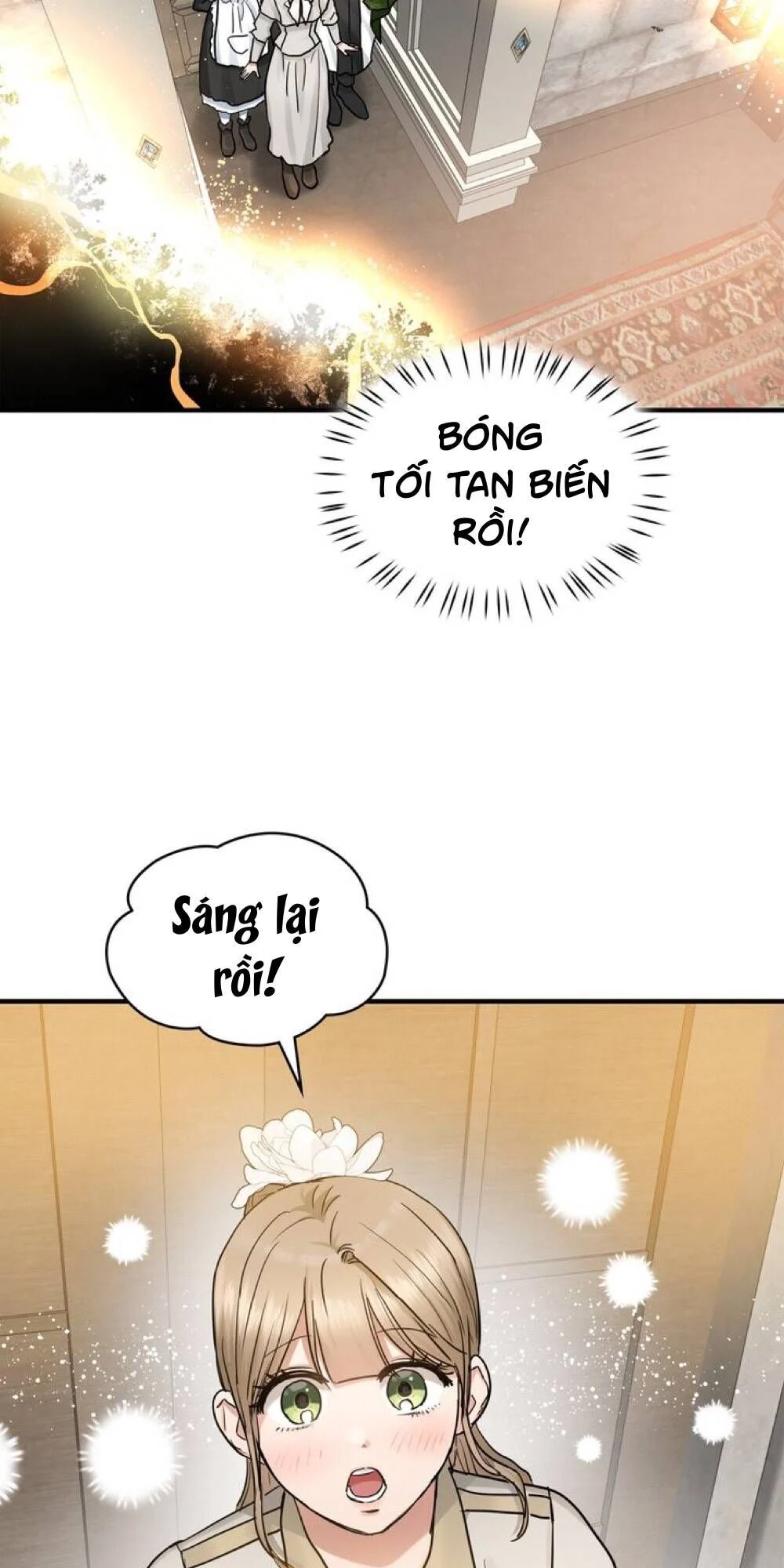 Người Thừa Kế Chapter 41 - Trang 3