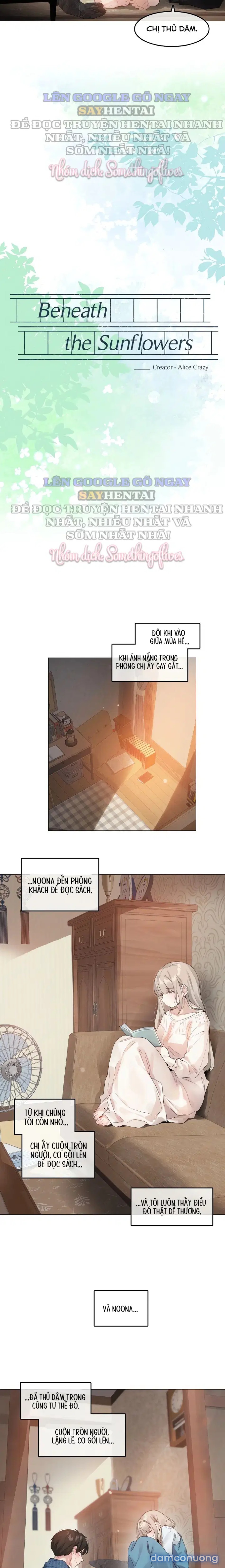 Mùa Hướng Dương Thầm Thì Chapter 7 - Next Chapter 8