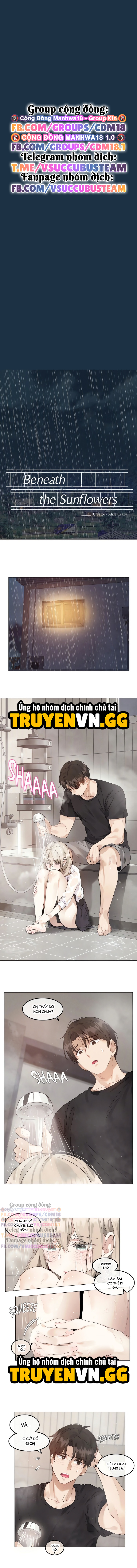 Mùa Hướng Dương Thầm Thì Chapter 5 - Trang 2