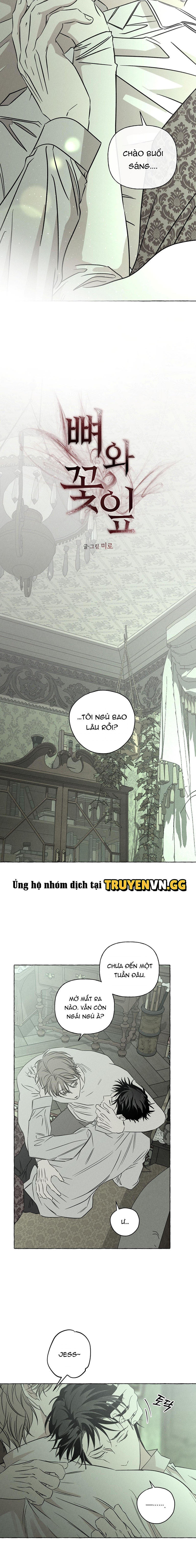 Đóa Hoa Xương Chapter 61 - Next 