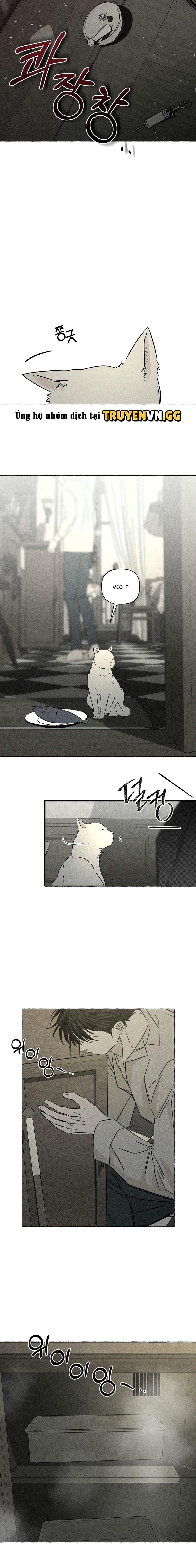 Đóa Hoa Xương Chapter 54 7