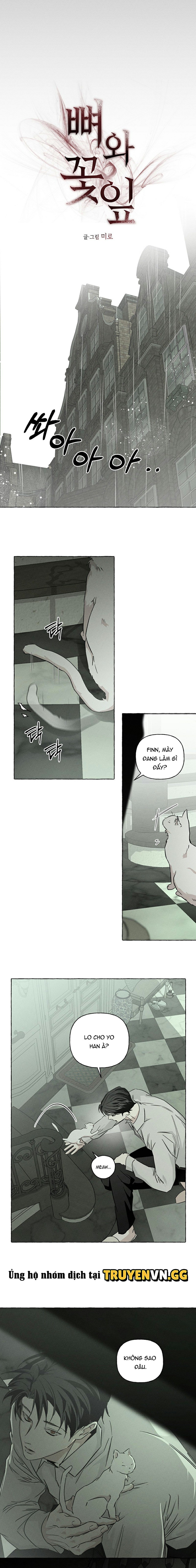 Đóa Hoa Xương Chapter 56 - Next 