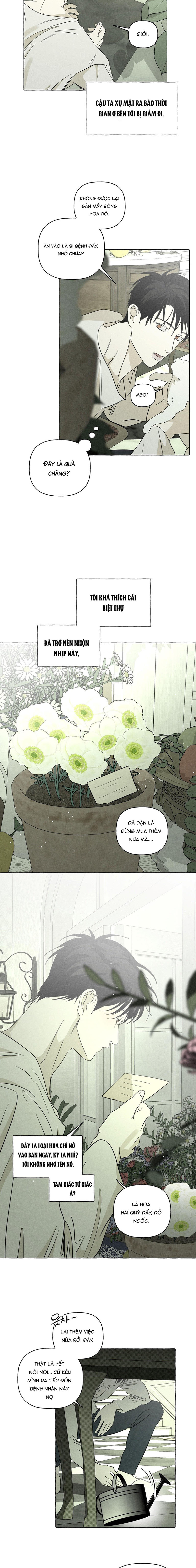 Đóa Hoa Xương Chapter 50 - Trang 2